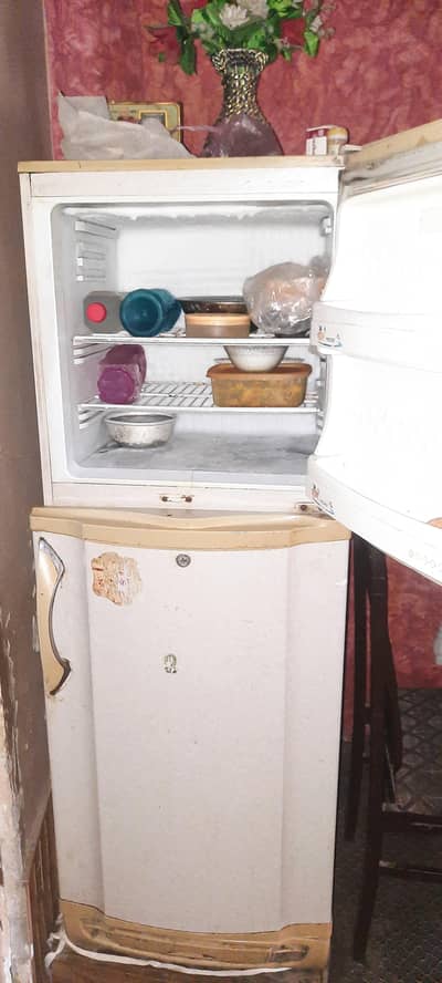 PEL freezer Large size in good condition
