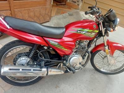 ybz 2024