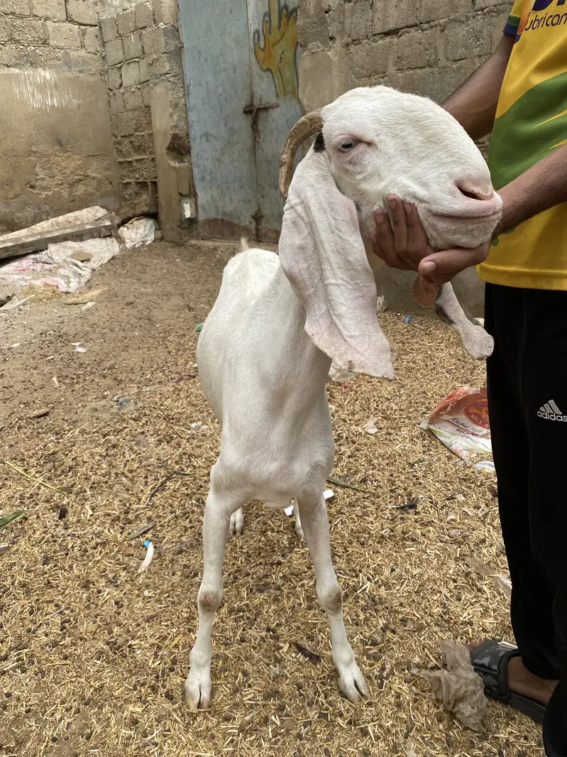 alag alg bhi mil jaengi — photo 5
