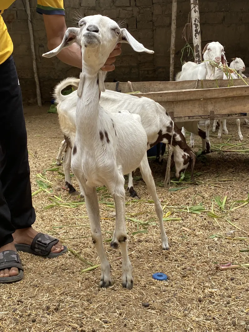 alag alg bhi mil jaengi — photo 10