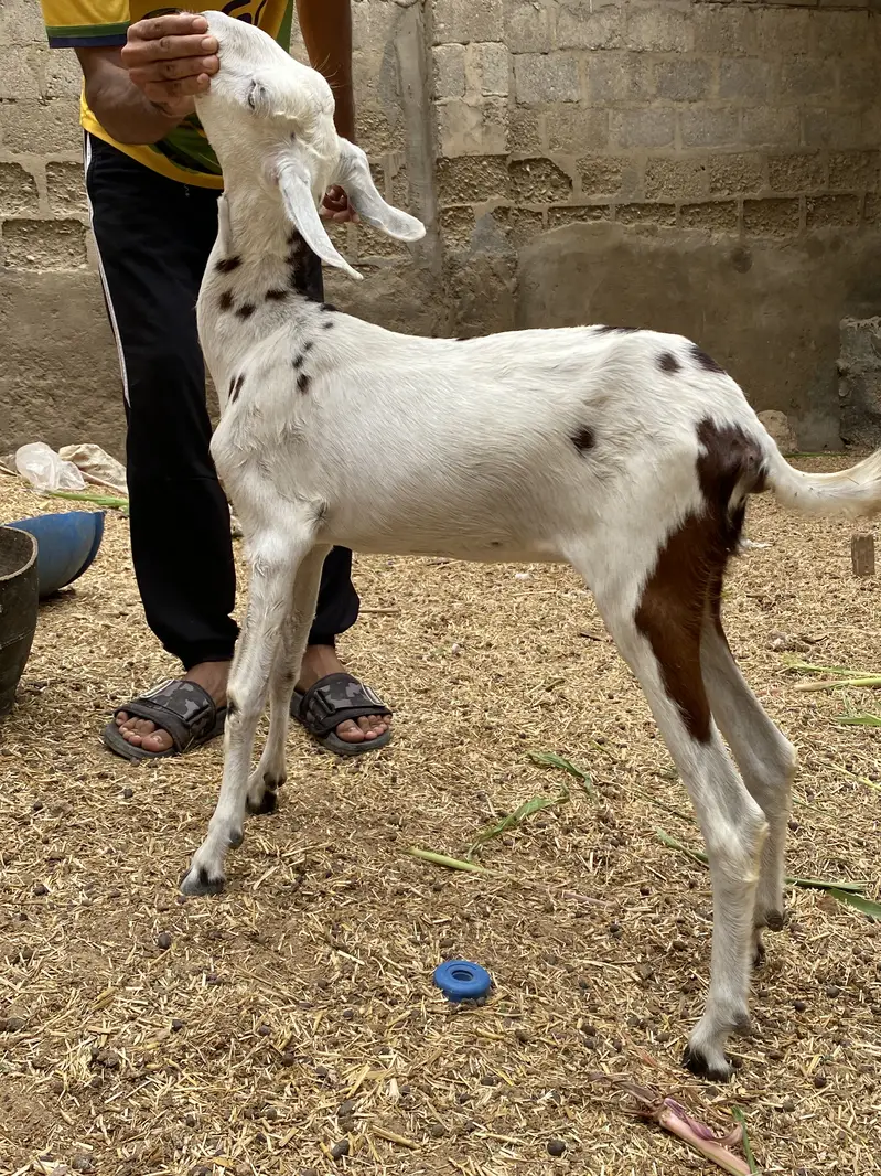 alag alg bhi mil jaengi — photo 11