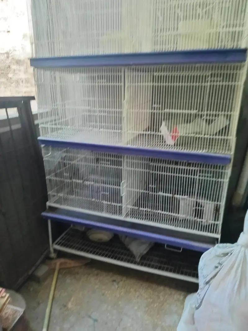 Cage for sale — photo 2