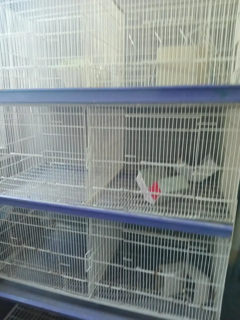 Cage for sale — photo 3