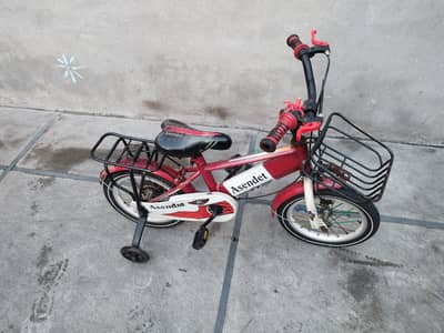 Kids 14 inch cycle