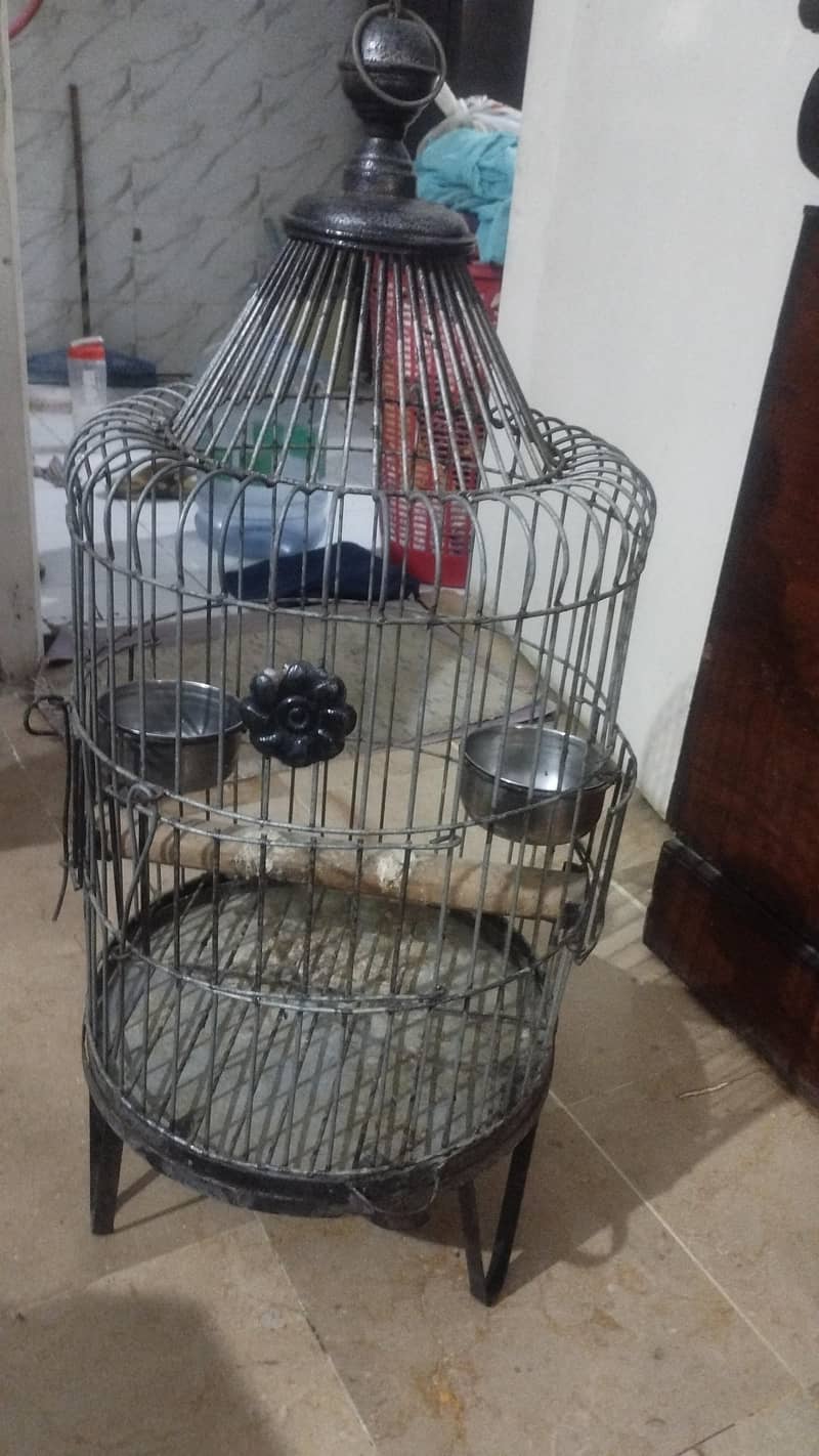 Ringneck Cage 1