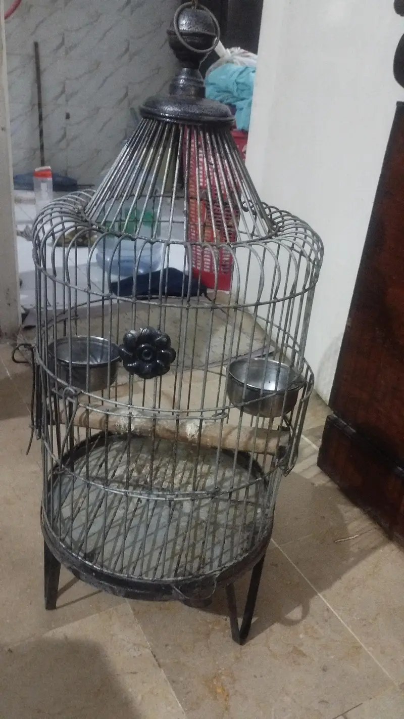 Ringneck Cage — photo 2