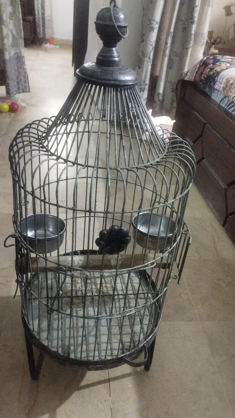 Ringneck Cage — photo 3