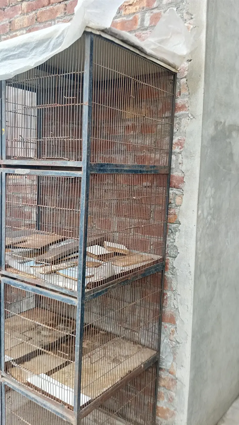 Birds cage for sale — photo 2