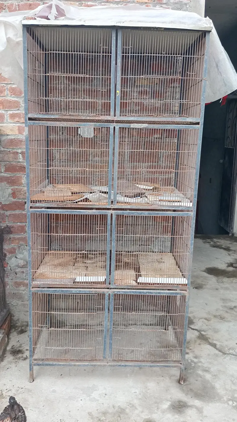 Birds cage for sale — photo 3