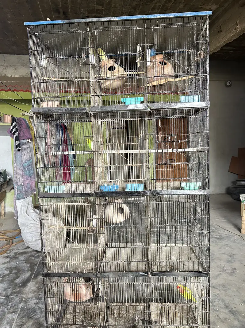 12 Portion Cage for sale, In good condition serious buyers contact — photo 5