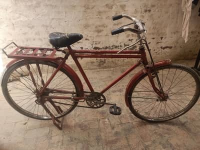 nise cycle
