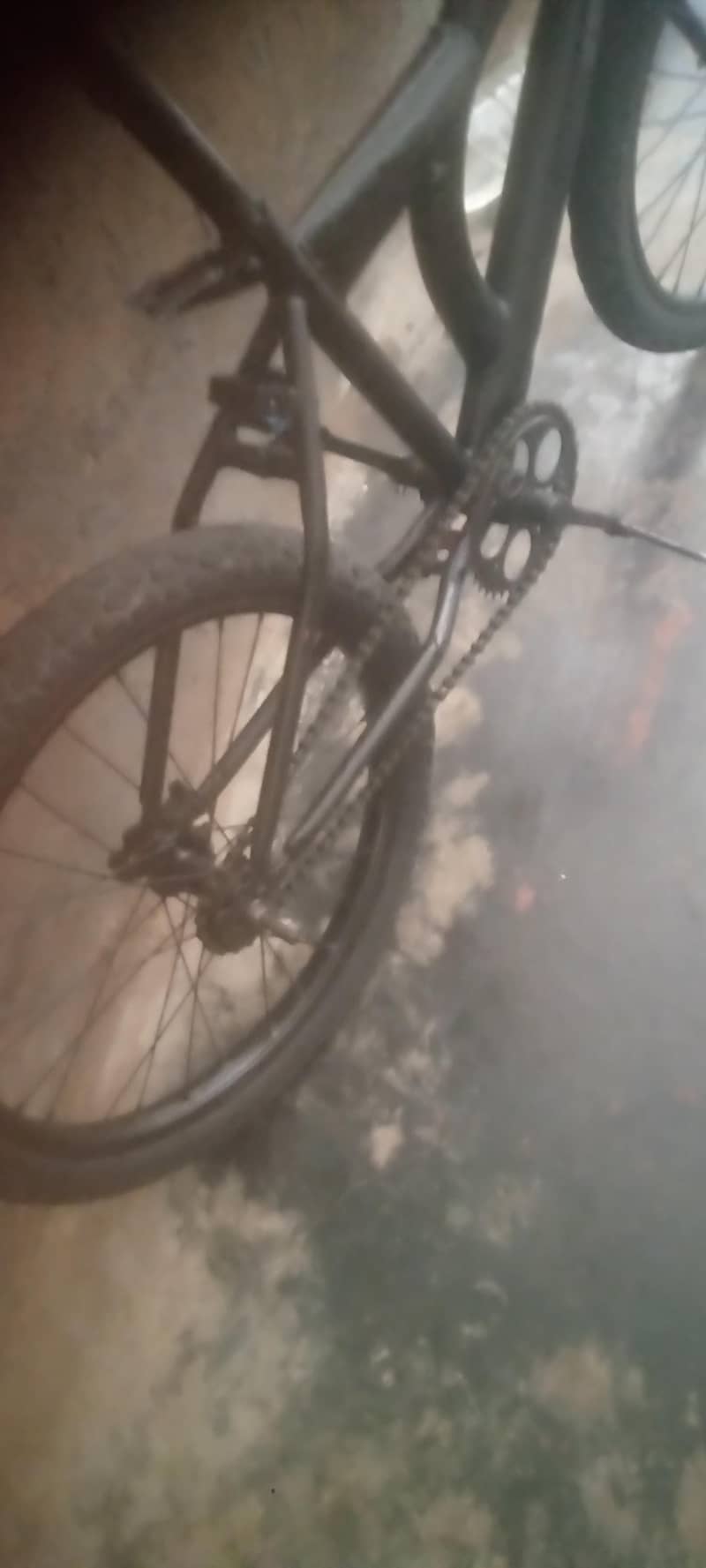 bicycle 2