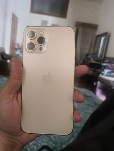 Apple iPhone 12 Pro Max