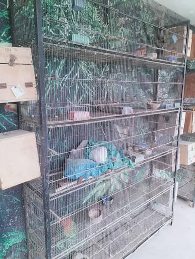 10 portion cage