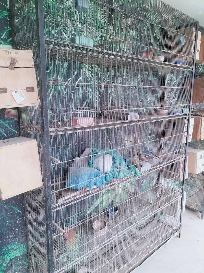 10 portion cage 0