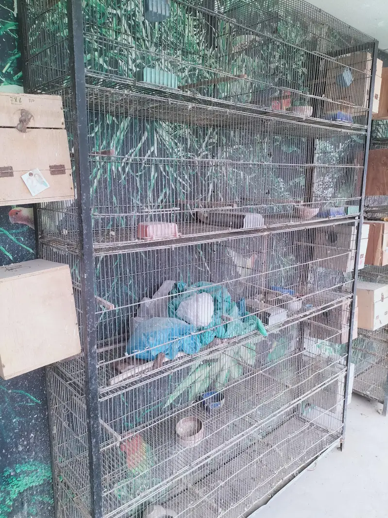 10 portion cage