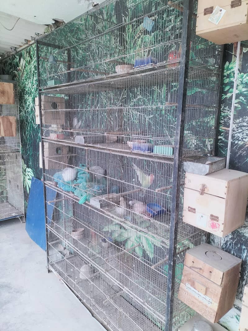10 portion cage 1