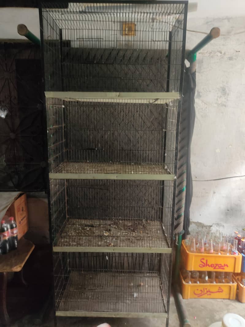 Hens Cage 0