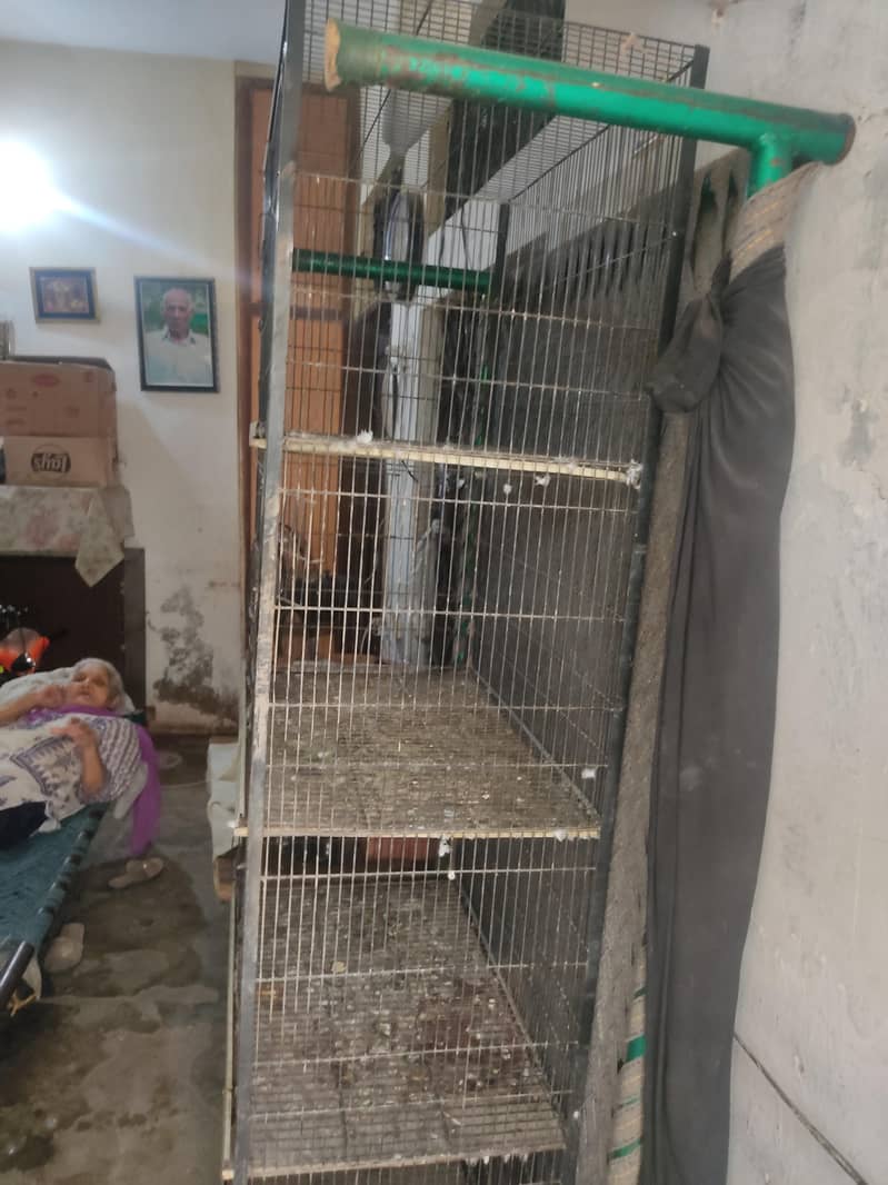 Hens Cage 1