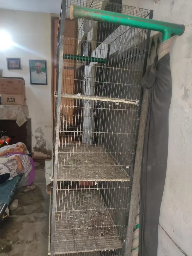 Hens Cage — photo 2