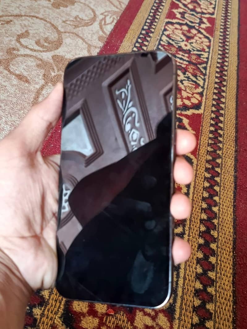 Apple iPhone 13 Pro Max 1