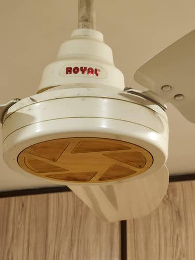 Roof / Ceiling Fan