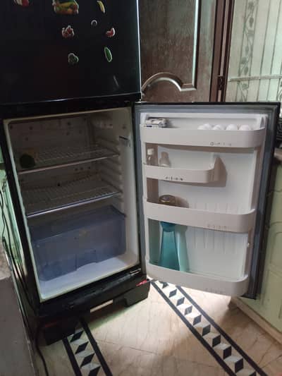 Refrigerator single door