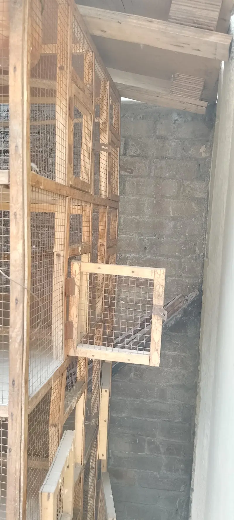 wooden cage — photo 2