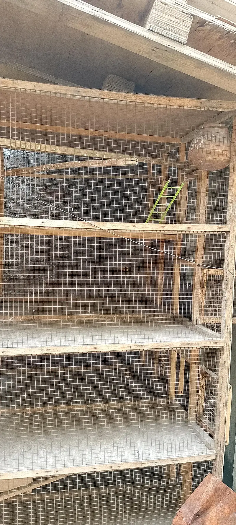wooden cage — photo 4