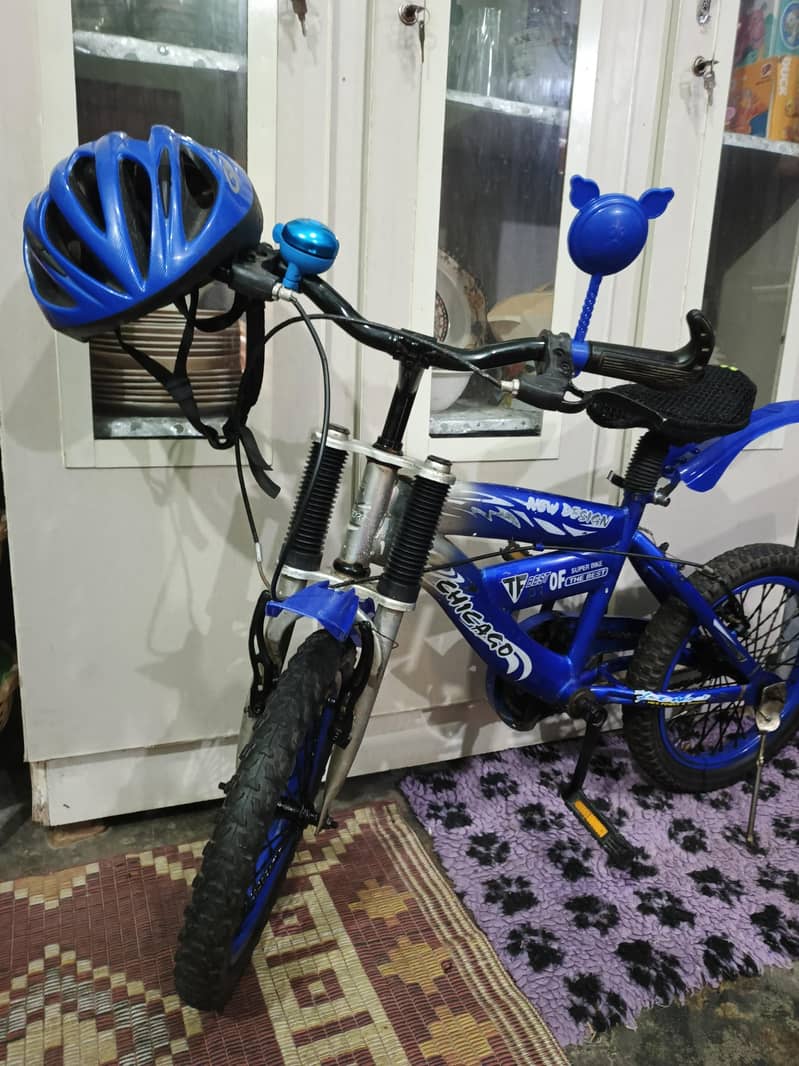 16" imported cycle 1
