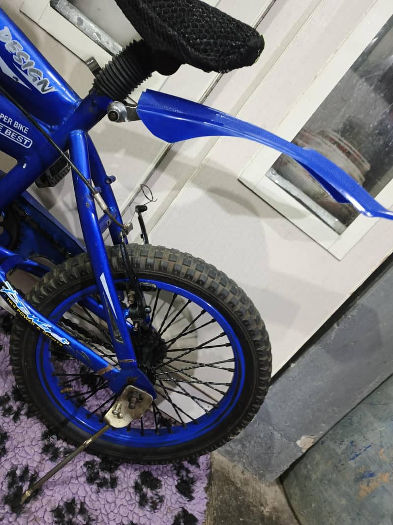 16" imported cycle 2