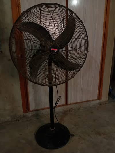Pedestal Fan
