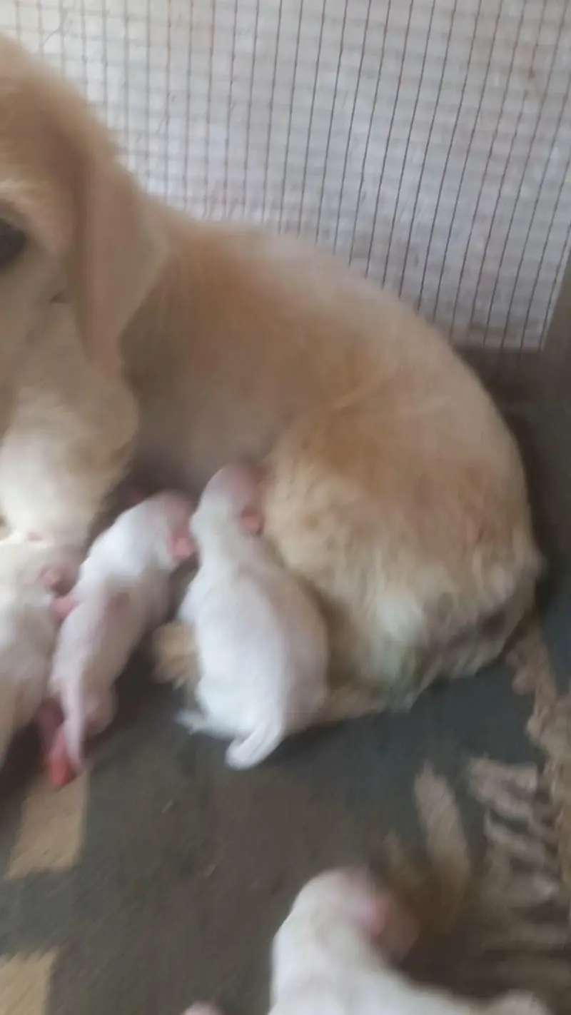 New Babys — photo 4