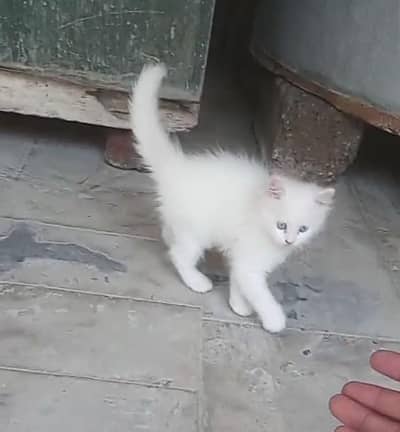. . . . . . . . . . . . . . . . . . . . . . . . . .