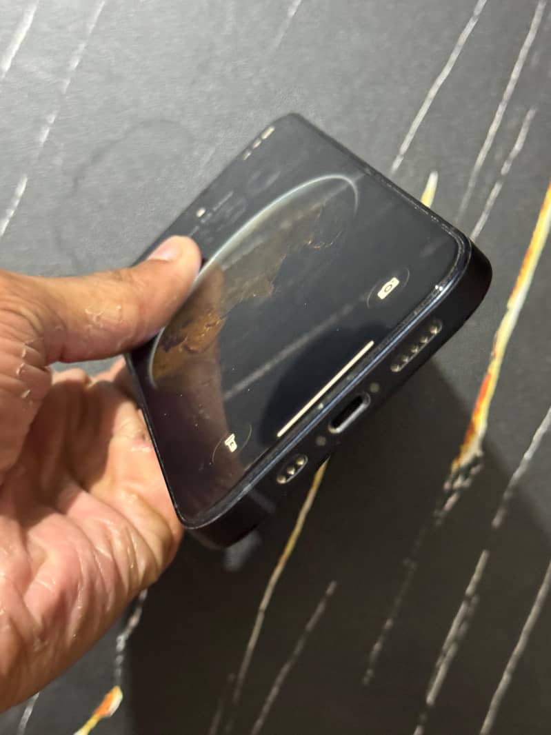 Apple iPhone 12 1