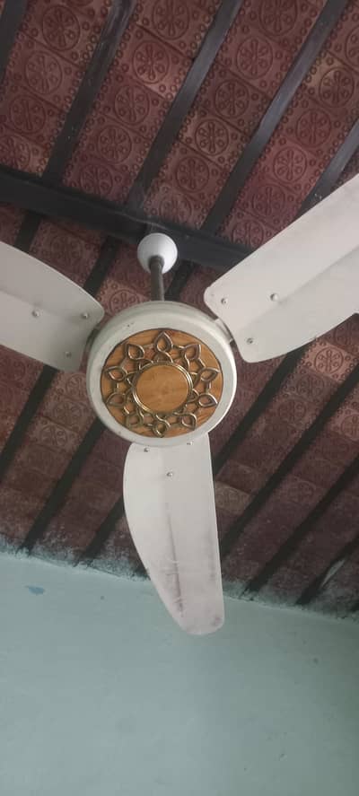 Celing fan Ac