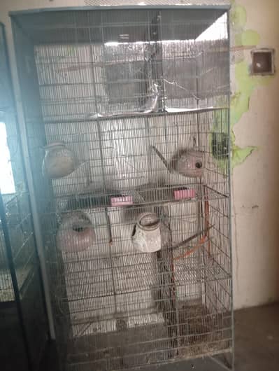 cage for birds