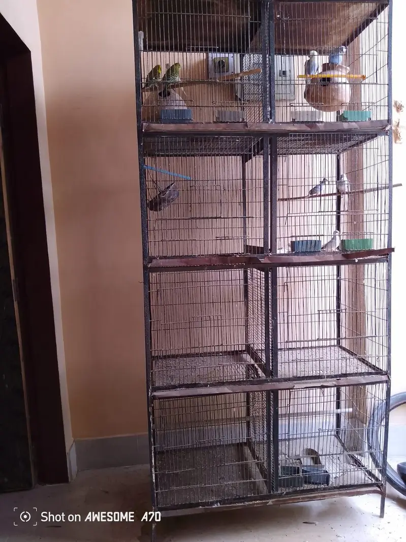 I am sale my cage — photo 4