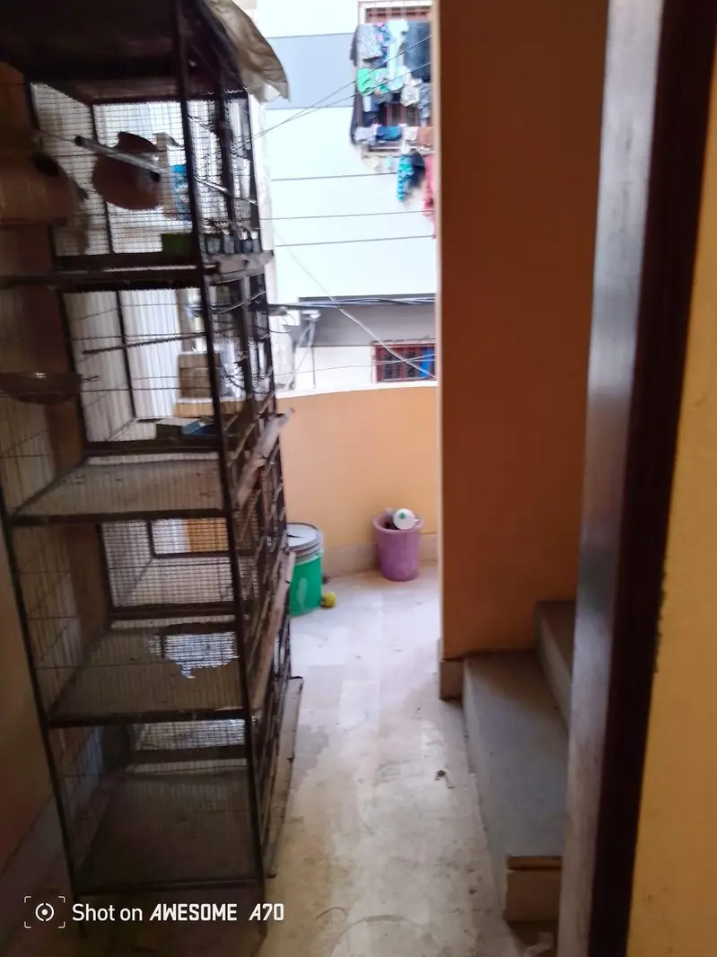 I am sale my cage — photo 5
