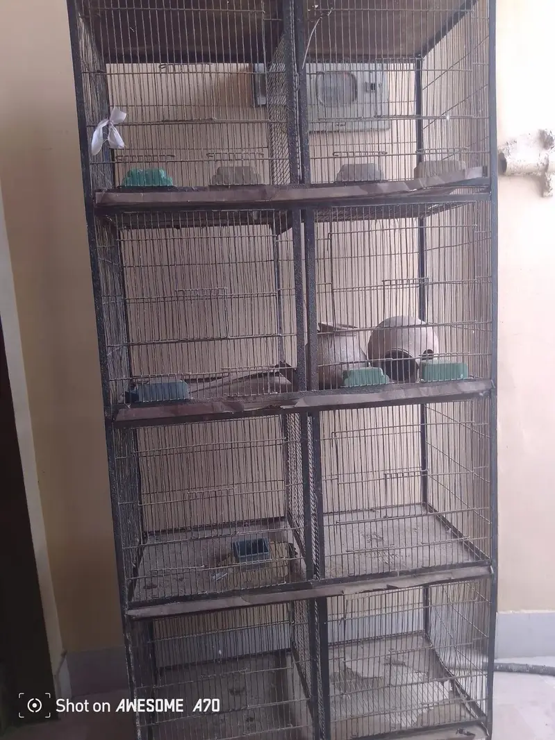I am sale my cage — photo 6