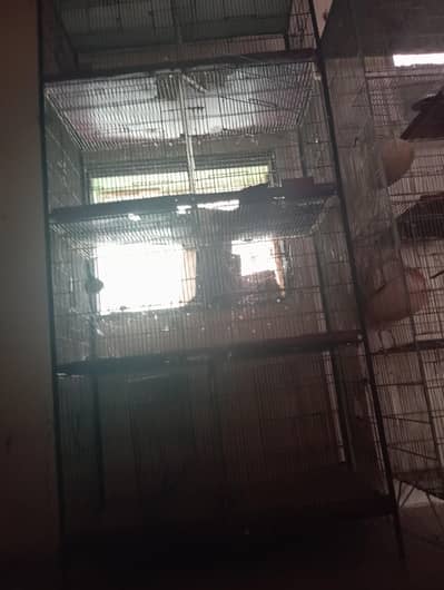 cage for bird
