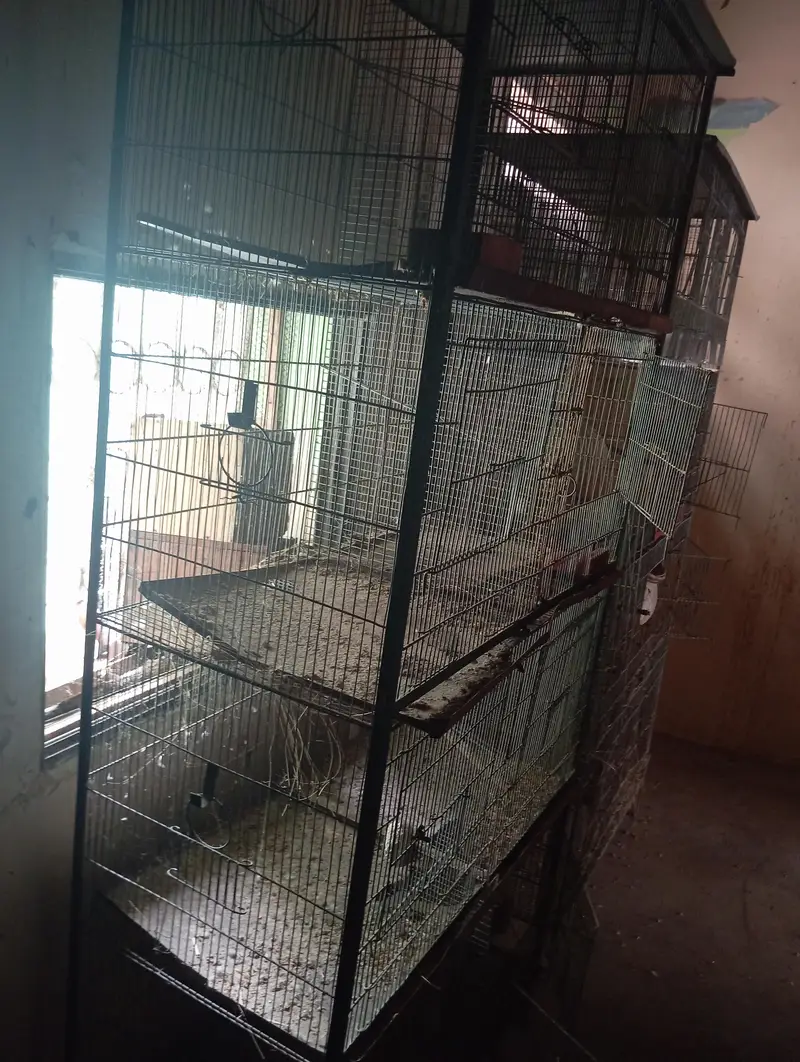 cage for bird — photo 2