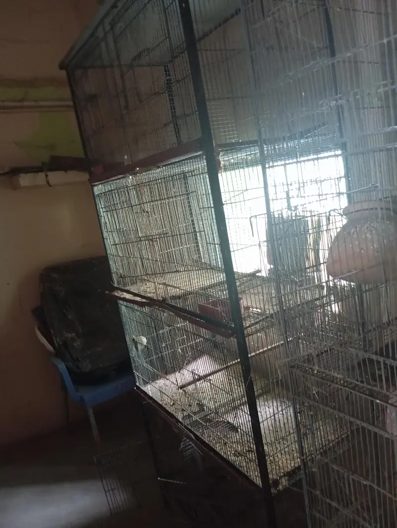 cage for bird — photo 3