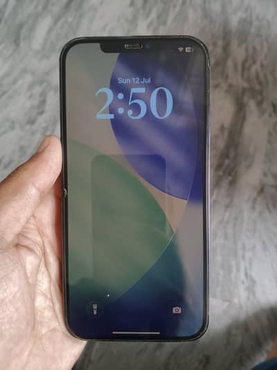 Apple iPhone 12 Pro Max