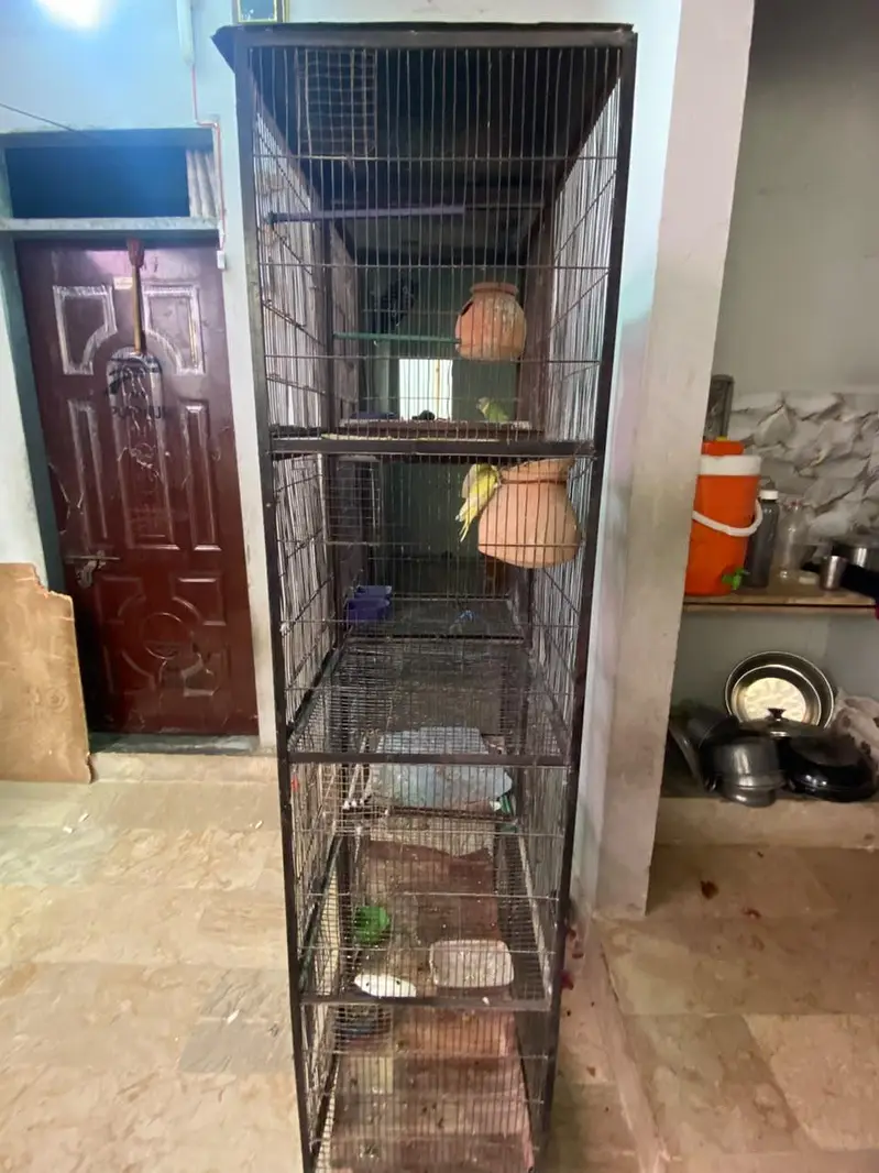 pinjra 8 box Wala hai lohe k hai just Color hai new hojayega — photo 2