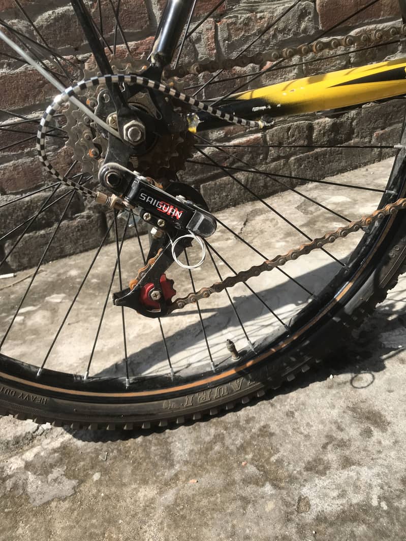 Bicycle 1