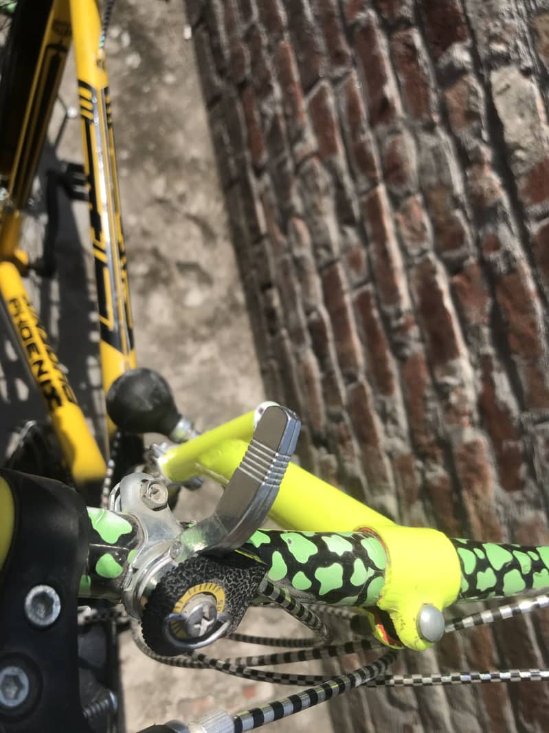 Bicycle 6