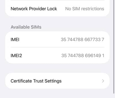 Apple iPhone 13 Pro Max