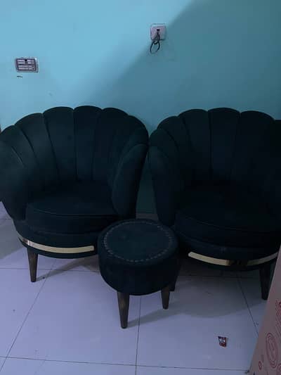 6 month used