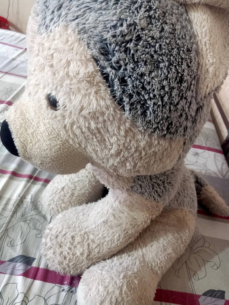 Teddy bear large size 3
